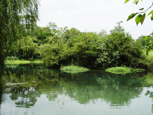 花溪公園圖片