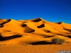 摩洛哥大漠風景圖片