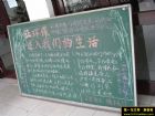 保護大自然黑板報