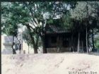 景陽崗