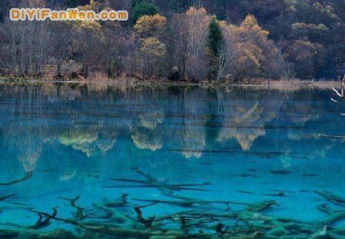 四川九寨溝天鵝湖圖片