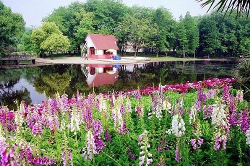 共青森林公園圖片