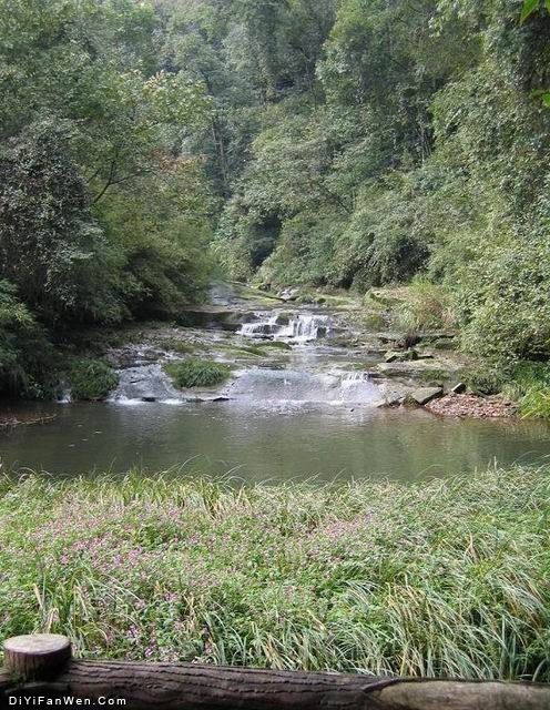四川碧峰峽圖片