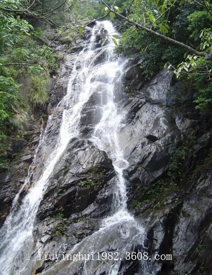 梧桐山風景區圖片