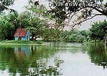 良鳳江國家森林公園圖片