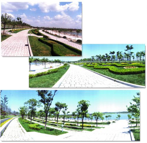 上海世紀公園圖片
