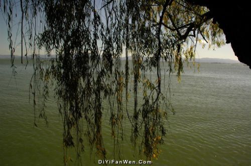 滇池秋色圖片