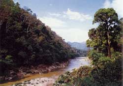 南滾河國家及自然保護區圖片