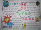 環保手抄報：歷年環境日主題