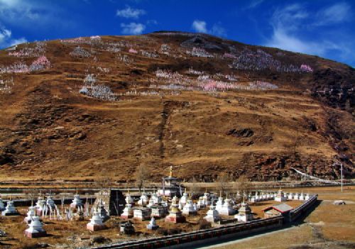 康定雅拉雪山下的塔公寺圖片