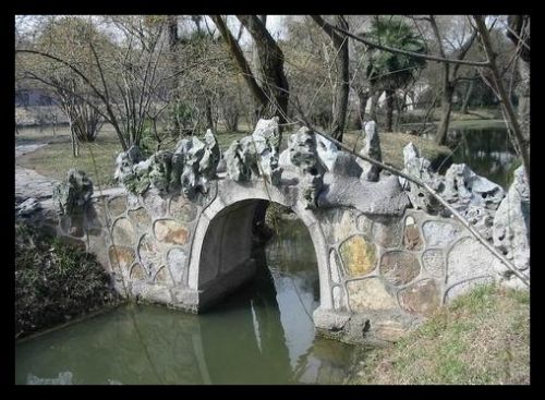 江蘇盆景園圖片