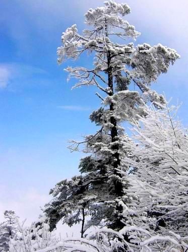 西嶺雪山圖片