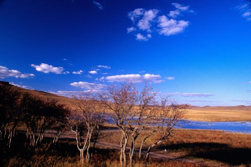 四川壩上金秋景色圖片