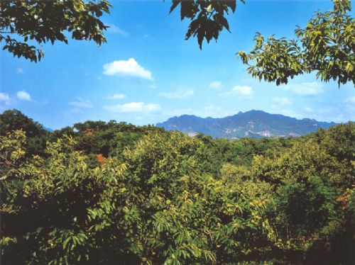 青山關圖片