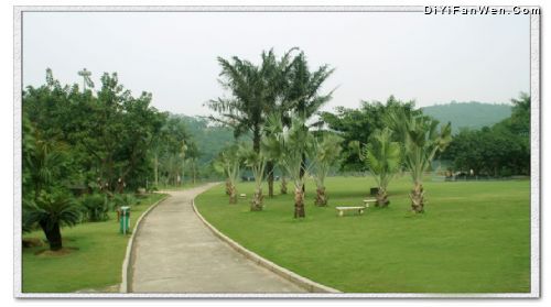 深圳仙湖植物園圖片