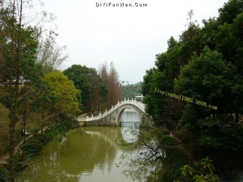 仙湖植物園圖片
