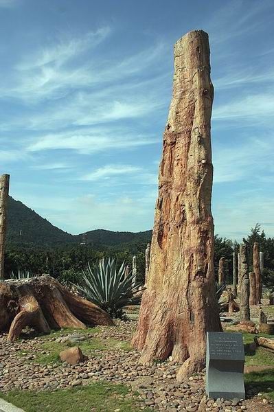 廣東仙湖植物園圖片
