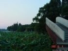 雨山湖圖組（2）