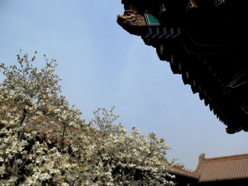 故宮圖片