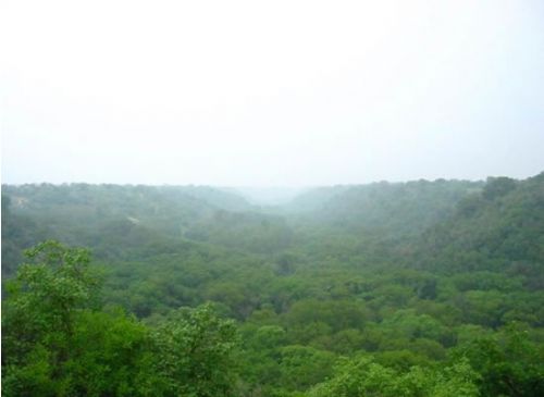 大青溝自然保護區風景圖片