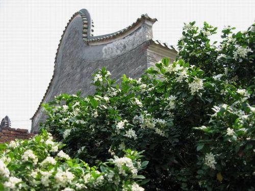 廣東大旗頭古村風光圖片