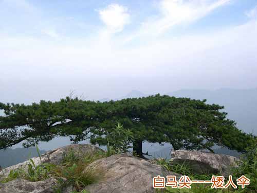 大別山主峰景區
