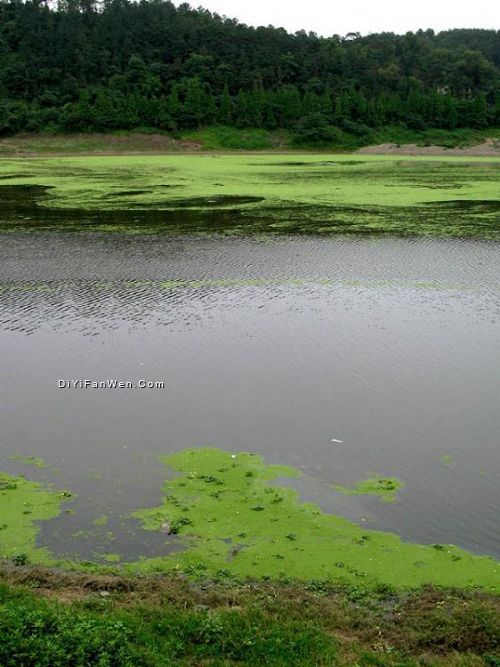 岷江風光圖片