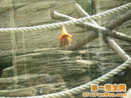 莫斯科動物園圖片