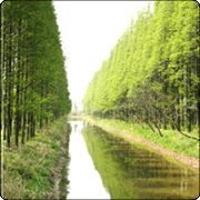 長青沙島圖片