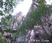 松峰山自然保護區圖片