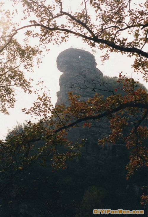 貓兒山國家級森林公園風景圖片