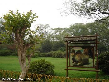 和平公園圖片