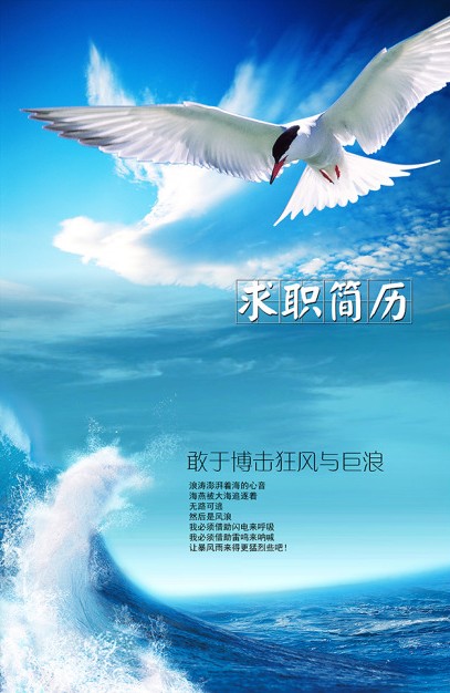 搏擊狂風與巨浪簡歷封面