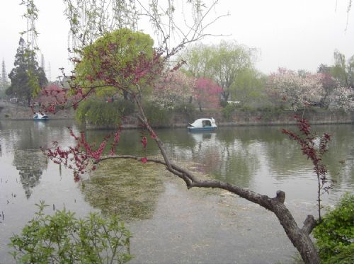無錫風景圖片