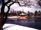 中山公園