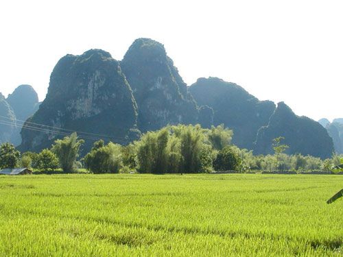 明仕田園圖片
