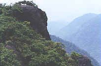大佑山生態旅遊區圖片