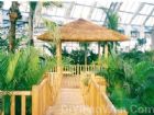 天津熱帶植物觀光園