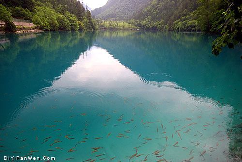 夏日九寨溝圖片