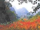 龍慶峽