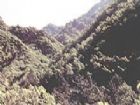 松山森林旅遊區