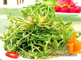 春天了 多吃點野菜好！(組圖)