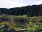龍門山風景名勝區