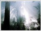 黎母山森林公園