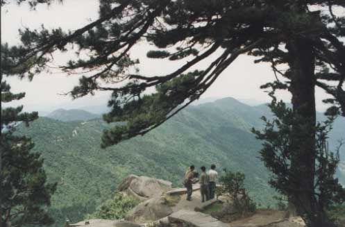 福嚴寺圖片