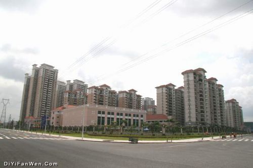 美麗東菀圖片