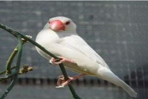 北京動物園組圖（1）圖片