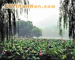 丁香巷圖片