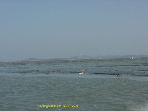 黑沙海灘圖片