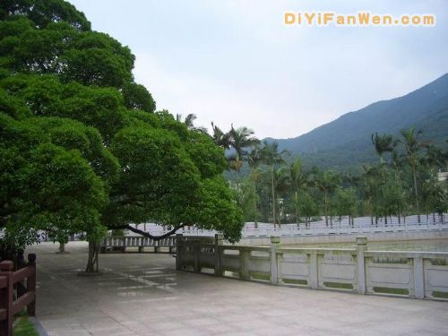 福州國家森林公園圖片